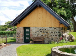 NEU Modernes Ferienhaus Hohensayn